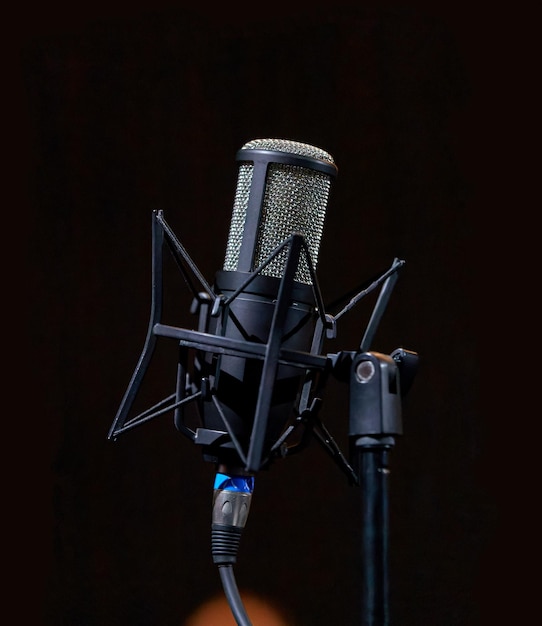 Photo image of a studio condenser microphone on a microphone stand