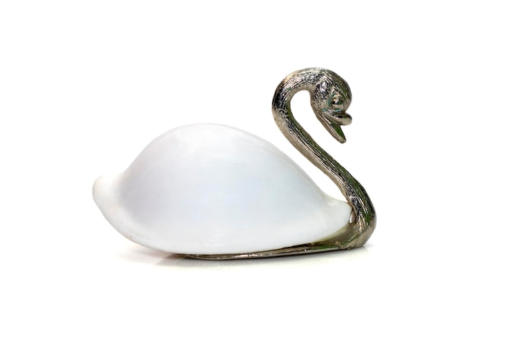 Photo image of swan sculpture with white shellsovula ovum as part of its body isolated on white background home decoration