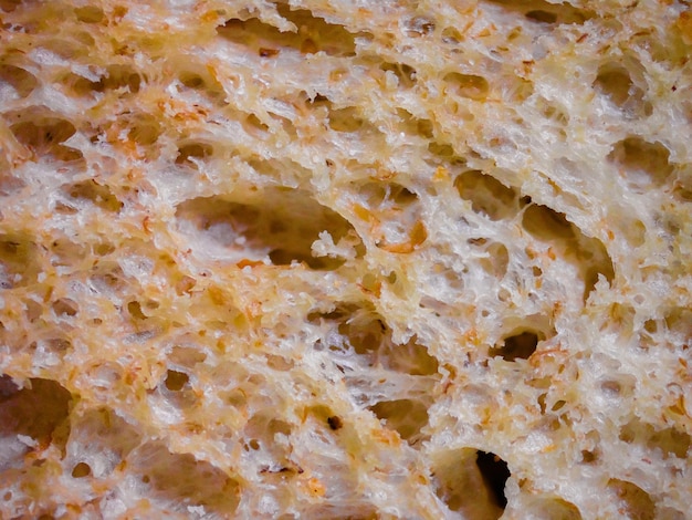 Photo image taken with a microscope bread