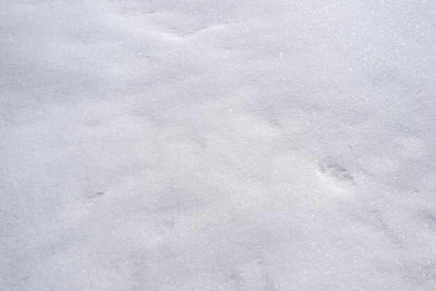 Photo image of the texture of snow