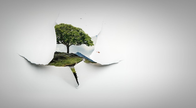 image of tree and landscape