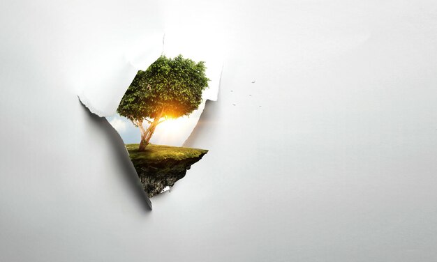 image of tree and landscape