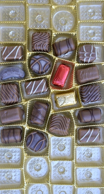 Photo image of a various chocolate bonbons sweet foodtop view