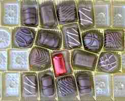 Photo image of a various chocolate bonbons sweet foodtop view