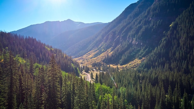 Image of Vast mountain valley filled with pine trees and dirt road in distance