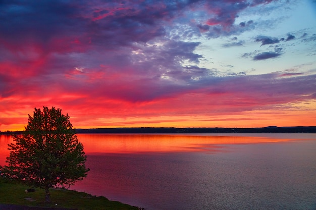 Image of Vibrant red and orange sunset over lake with lone tree