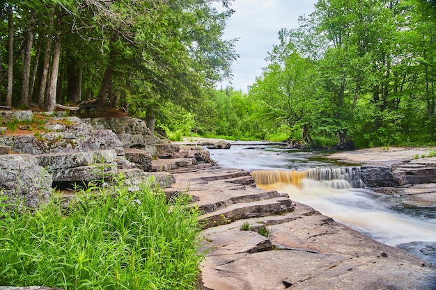 Изображение вида ущелья речки в лесу с водопадом