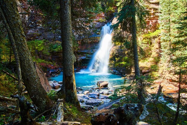 Image of View behind trees of hidden waterfall tucked into canyon gorge