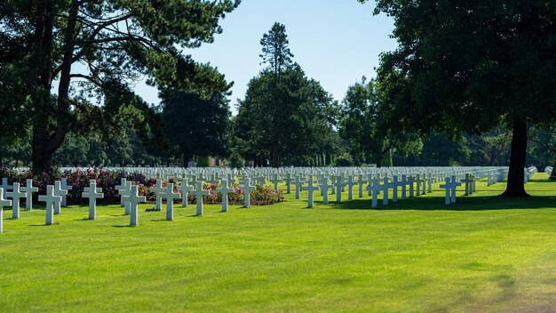 Immagine con cimitero americano in normandia francia collevillesurmer