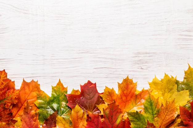 Image with autumn leaves background