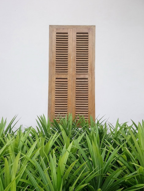 Photo an image of wooden window and white wall