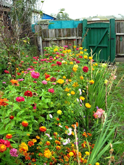 ベッドにさまざまな花がいている庭の画像