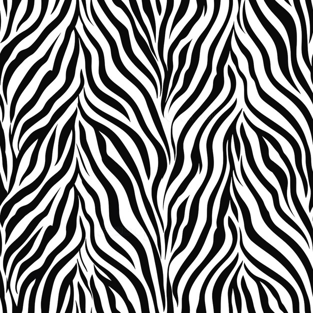 Photo image of zebra