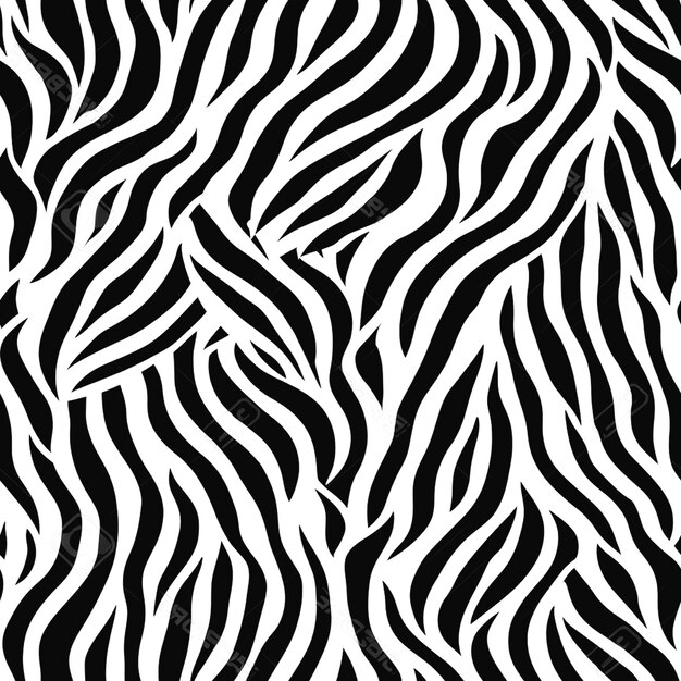 Foto immagine di zebra