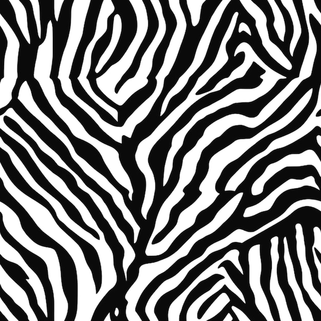 Photo image of zebra