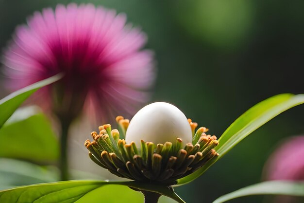 画像 写真 写真 美しい 画像 色々な 画像 人工知能で作った 画像