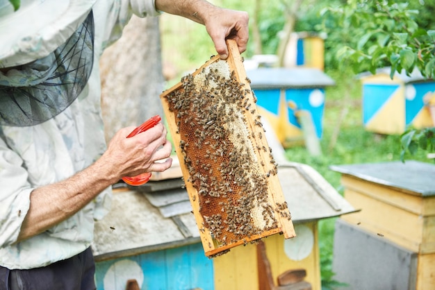 Imker aan het werk in zijn bijenstal met honingraatframe