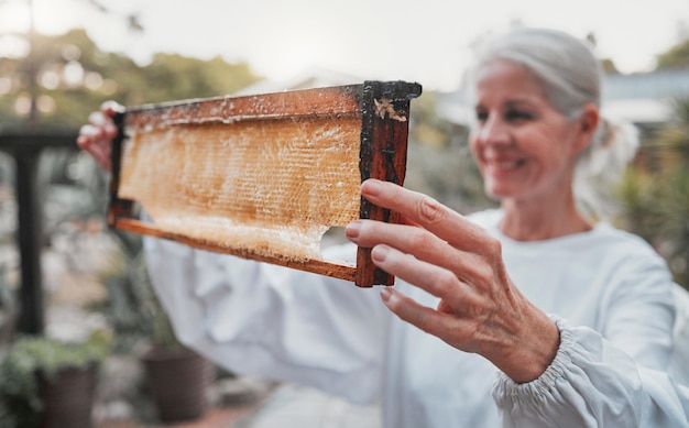 Imker blij en honingproductie met frame honingraat of oogst van voedsel, gezondheid of voeding Vrouw bijenboer en glimlach voor landbouw voor biologisch natuurlijk product of succes op bijenstal