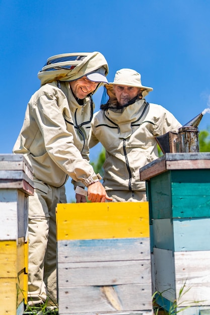 Imker die met honingraten werken Concept imkerijlandbouwers