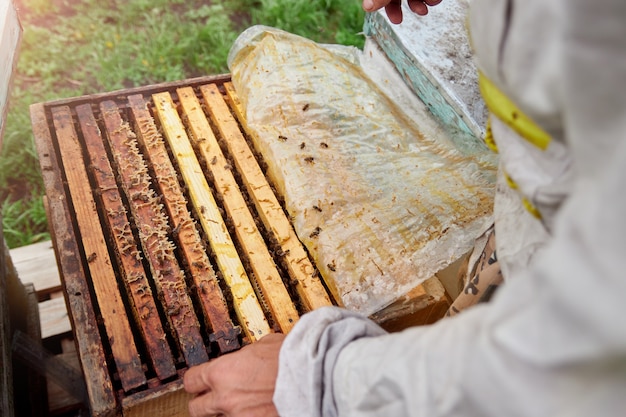 Imker met een frame met honingraten en bijen. bijenkorf inspectie