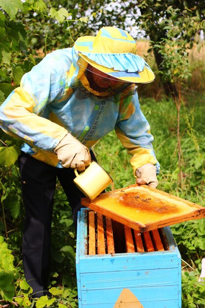 Imker voedt bijen met suikersiroop