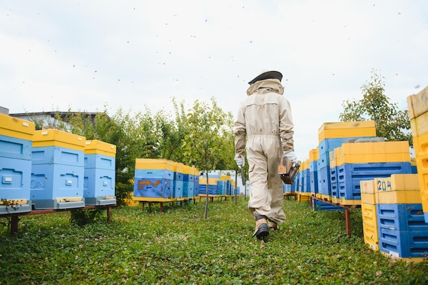 Imker werkt met bijen en bijenkorven aan bijenstal Bijen aan honingraat Frames van bijenkorf Bijenteelt Honing Gezonde voeding Natuurlijke producten