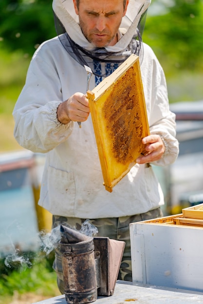 Foto imker werkt met bijen en bijenkorven op de bijenstal.