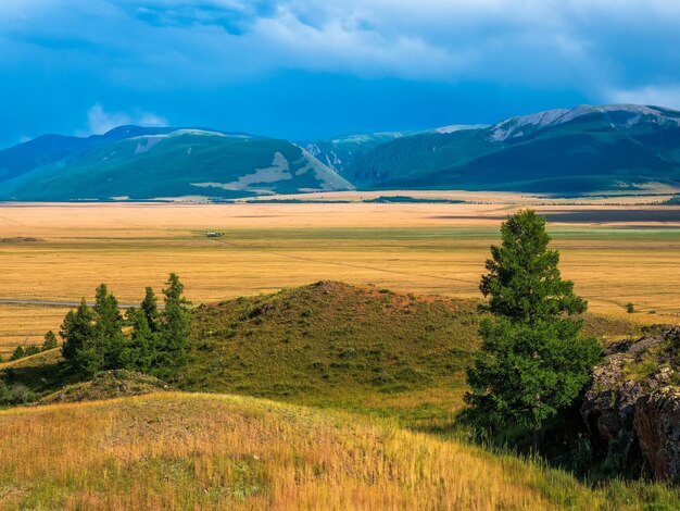 Immense distances with field and forest near dramatic high mountains. Bright summer steppe landscape. Scenic view to vast expanses of rolling hills in sunlight.