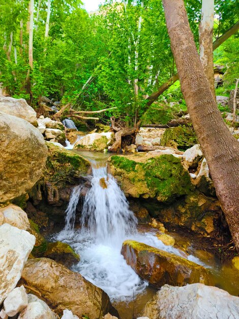 Immerse Yourself in Tranquility The Beauty of the Very Nice Waterfall