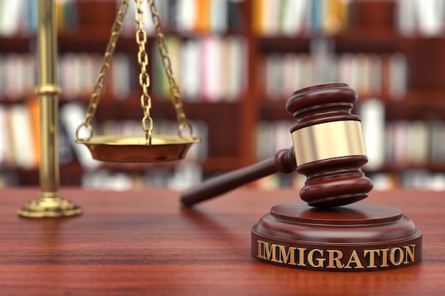 Georgia Immigration Laws: Understanding the State’s Policies and Regulations