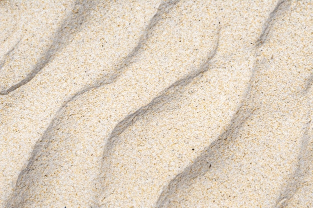 印象的な天然の砂 自然をモチーフにした魅惑的な砂