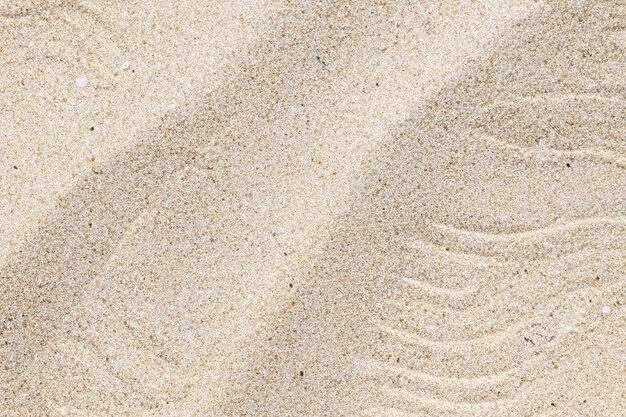 Impressive Natural Sands Mesmerizing Sand with Natural Motif