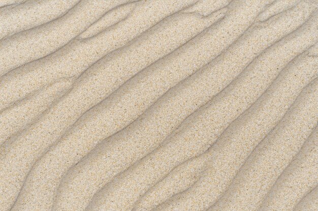 Impressive Natural Sands Mesmerizing Sand with Natural Motif