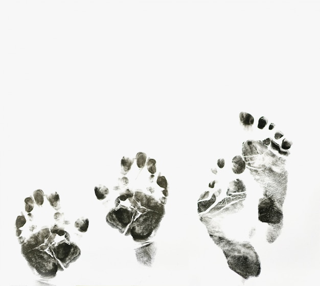 Photo imprint of hands and feet on white background