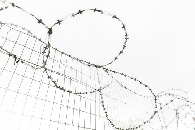 投獄、制限の概念 - 灰色の空に有刺鉄線のフェンス
