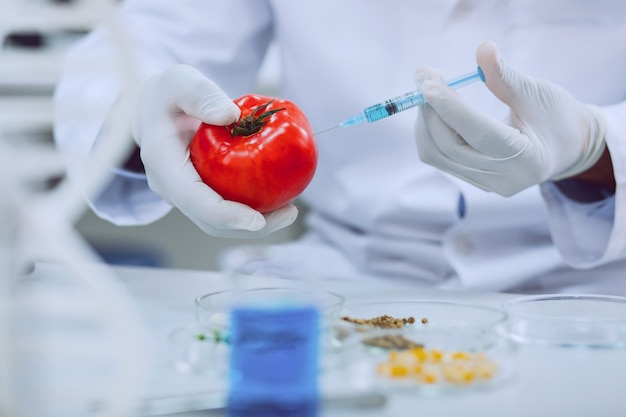 Prodotti migliorati. biologo professionista esperto che indossa un'uniforme e prova i pomodori