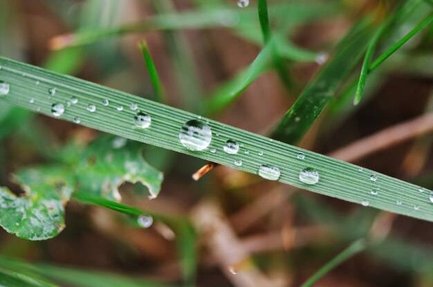 In de natuur