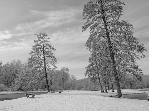 in de winter in reafeld