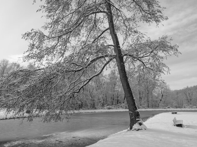 in de winter in reafeld