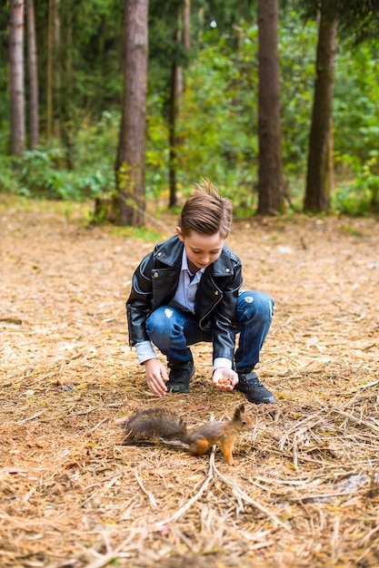 In de zomer in het bos voedt de jongen de eekhoorn met noten