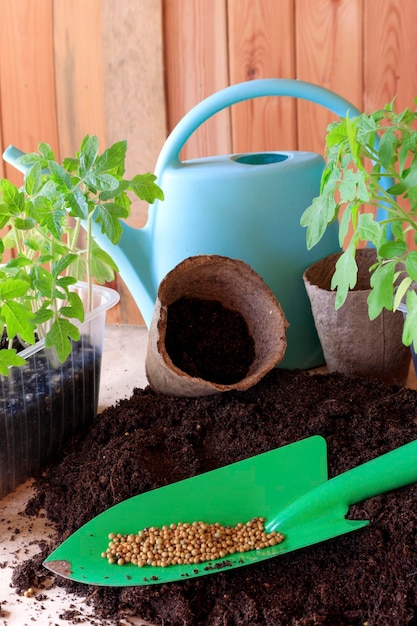 In een hoop aarde ligt een blauwe schop met daarnaast een groene schop.