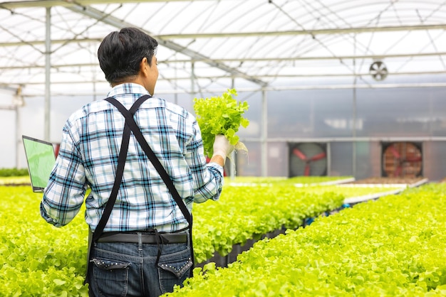 In een kasomgeving onderzoekt een landbouwonderzoeker planten met een laptopcomputer terwijl hij de laptop vasthoudt.