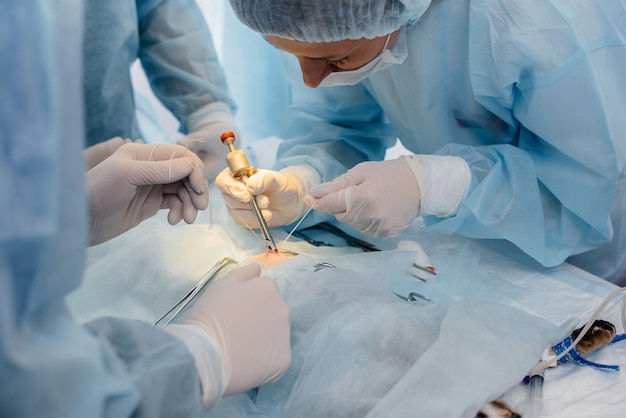 In een moderne dierenkliniek wordt een operatie van dichtbij op een dier op de operatietafel uitgevoerd. dierenkliniek