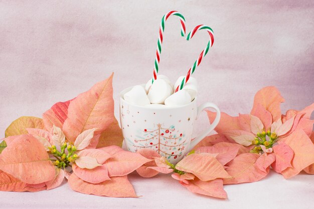 in een mok drinken, marshmallows, snoep op een stokje, roze poinsettia