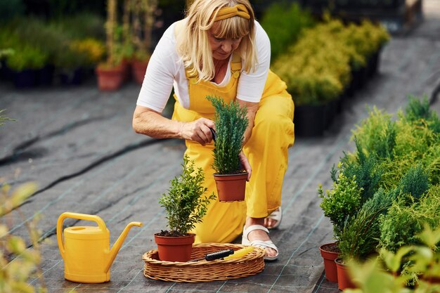 In geel gekleurd uniform is Senior vrouw overdag in de tuin Conceptie van planten en seizoenen