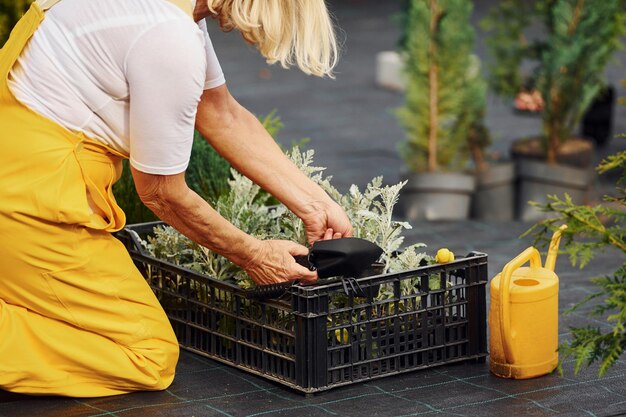 In geel gekleurd uniform is Senior vrouw overdag in de tuin Conceptie van planten en seizoenen