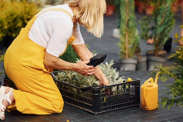 In geel gekleurd uniform is Senior vrouw overdag in de tuin Conceptie van planten en seizoenen