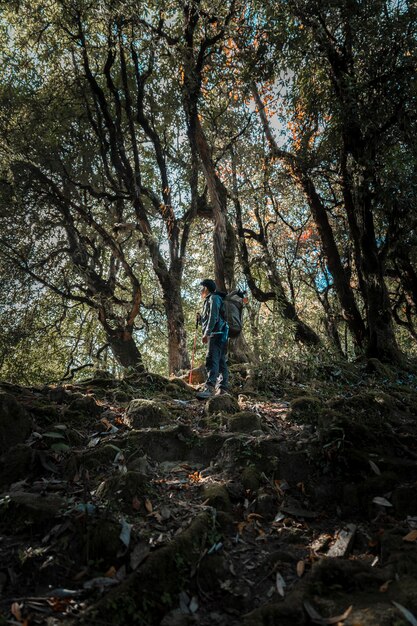 Foto in het bos