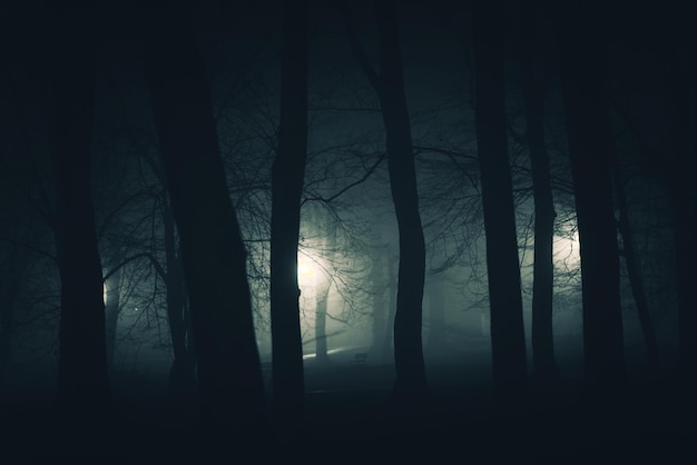 Foto in het donkere spookachtige park
