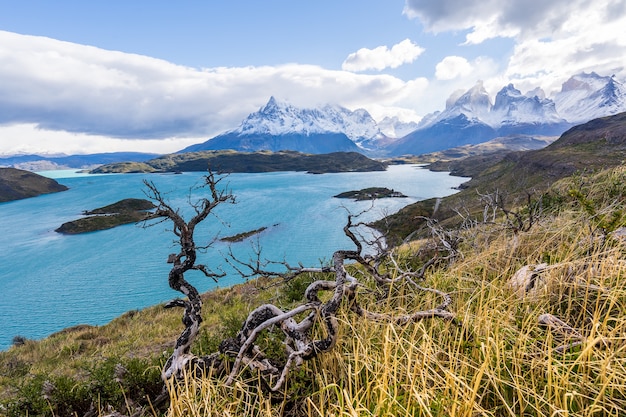 In het nationale park Torres del Paine, Patagonië, Chili, Lago del Pehoe.